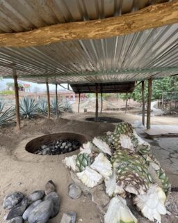 Ya tenemos preparado el horno para seguir haciendo más mezcal en nuestro rancho Parador Turìstico Shluuna el cual puedes visitar para conocer todo el proceso de elaboración de nuestro mezcal 🙂